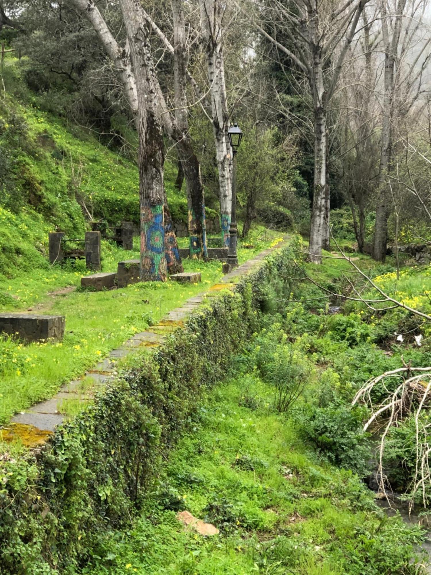 Alojamiento Rural El Castano Fuenteheridos Esterno foto