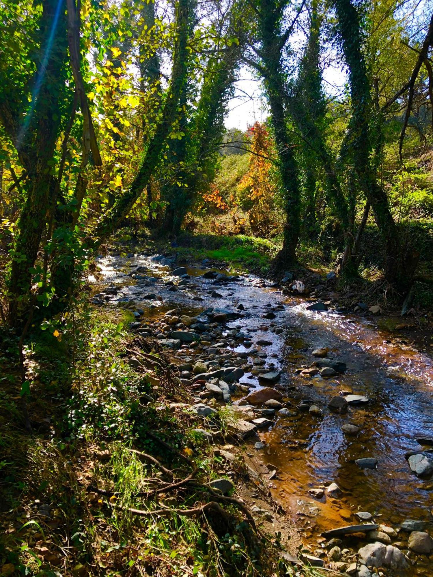 Alojamiento Rural El Castano Fuenteheridos Esterno foto